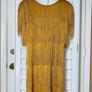 Hw collections vintage flapper dress